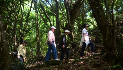 走进4万年前的“火山秘境”——腾冲神柱谷
