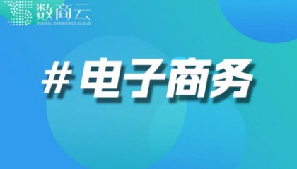 虚拟商品交易电商网站搭建|虚拟商品交易电商网站建设方案|数商云