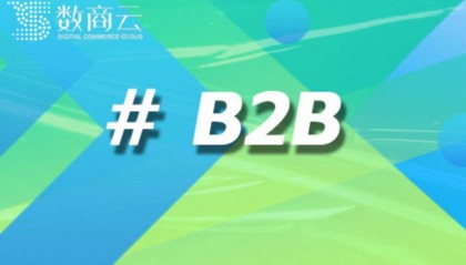 如何选择合适的B2B商城网站源码以提升企业在线交易效率?|数商云