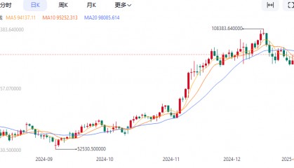 2025年比特币牛市行情将继续?