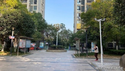 单价最高约6万，合肥最新学区房价格！