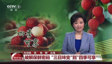 央视《晚间新闻》报道 | 茂名:科技助“荔”,抢“鲜”出海