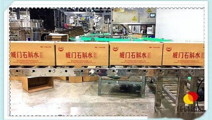 探索饮料配方的创新方向:植物饮料配方的研发