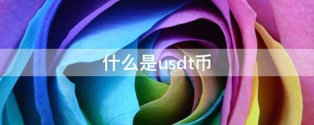 什么是usdt币