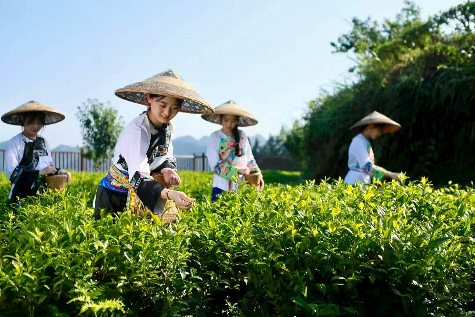 龙颂平：酉水明珠 湘西保靖......