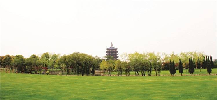 如何购买墓地