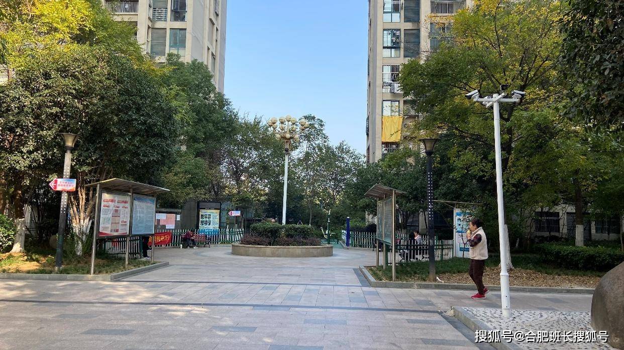 单价最高约6万，合肥最新学区房价格！